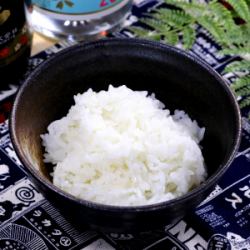 rice