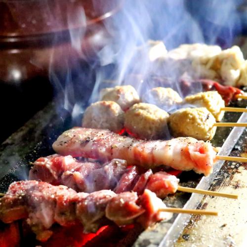 東京荷爾蒙串燒「烤肉串」