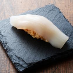 squid