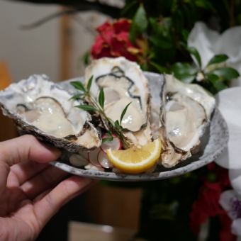 生牡蠣（金垂牡）牡蠣の鉄板焼きなど牡蠣料理全5品★【牡蠣堪能コース5500円】120分飲み放題付★