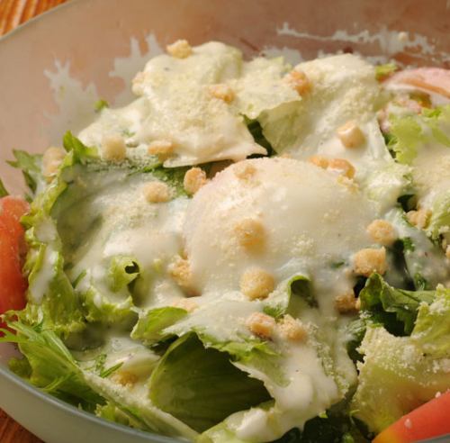 Crunchy Radish Salad / Caesar Salad / Tofu Salad / Bang Bang Chee Salad
