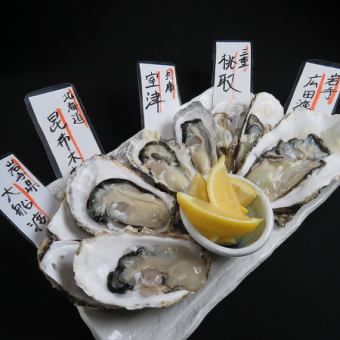 【カウンター限定】全5品　生牡蠣、焼牡蠣お試しコース　5000円