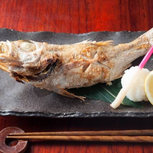 本格魚料理をご用意◎