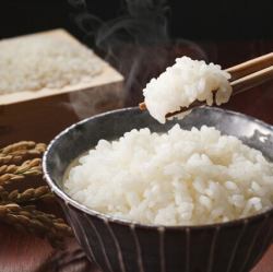 白ごはん