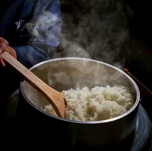 흰색 밥