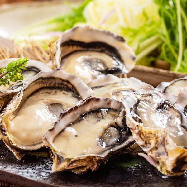[从明石站步行1分钟]我们的特色☆使用兵库县引以为豪的最新鲜的牡蛎提供创意菜肴的居酒屋！