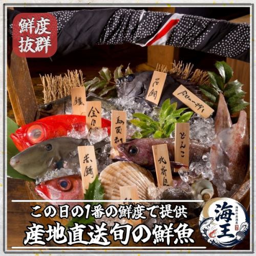 産地直送！鮮度抜群の旬魚