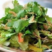coriander fresh green salad
