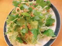 Fresh green salad with coriander