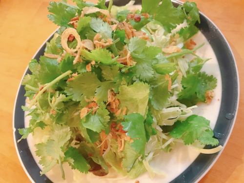Fresh green salad with coriander