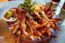 Spicy grilled chicken feet satay