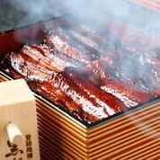 鰻重もついたお手軽コース【料理のみ】　宴会　歓送迎会　ランチ宴会