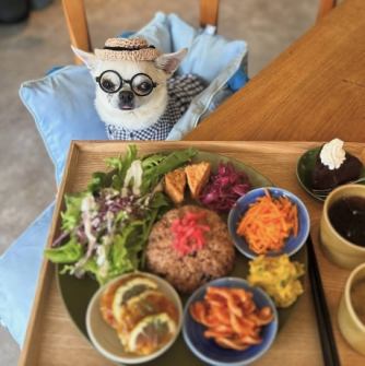 ペット同伴OKの当店では、わんちゃんと一緒にゆったりとした時間をお過ごしいただけます。自家製ワンちゃんクッキーもご用意。動物好きのお店のメンバーが笑顔でお迎えします。癒しと美味しさが共存する、特別な空間へようこそ。