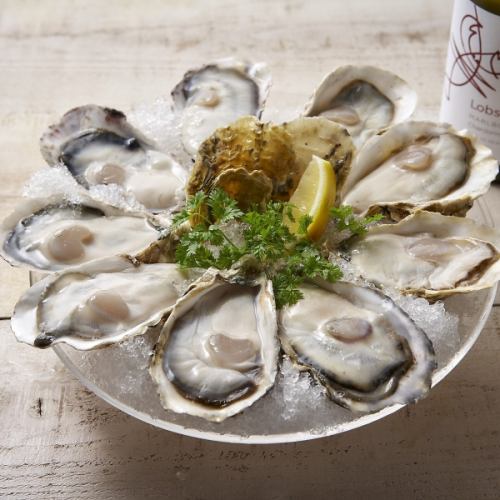 Coldオイスター(1ピース)