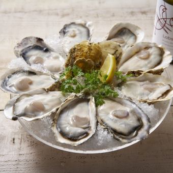 冷牡蛎（1只）