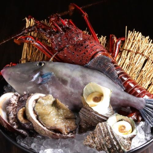 生簀に入った新鮮なお魚を美味しく調理しご提供します！