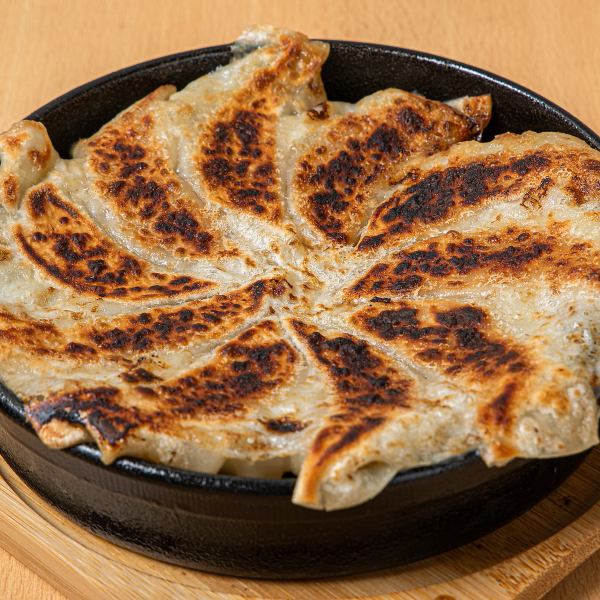 【パリッとジューシー！】≪鉄なべ餃子 5ヶ≫は絶品のひとくち！500円(税込)
