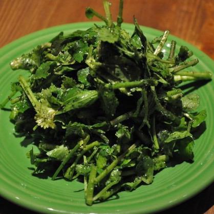 Watercress and cilantro salad cilantro Genovese HALF
