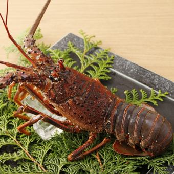 【2.5H飲み放題付！全9品15,000円】豪華絢爛「伊勢海老」「A5山形牛」全9品特別会席