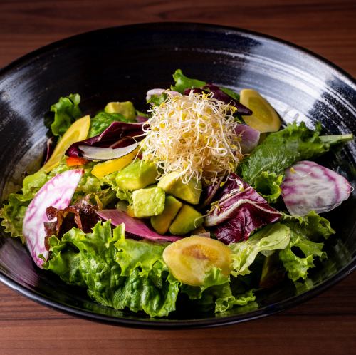 아보카도 샐러드