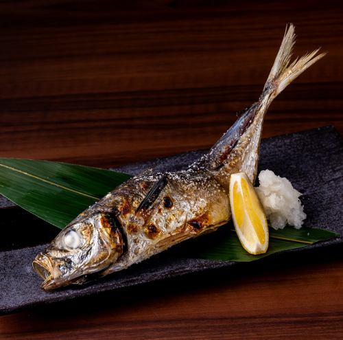 豊洲から毎朝直送される鮮魚を焼き魚定食でご提供！