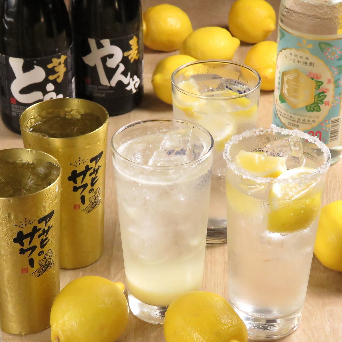 各種飲料無限暢飲1,300日元★加300日元即可享用9種檸檬酸酒！