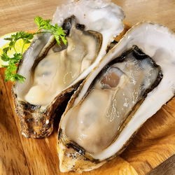 Raw oysters/steamed oysters (1 each)