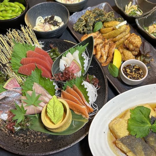 【刺盛コース】刺身五点盛・・おつまみ盛合せなど料理5品＋ビール飲み放題