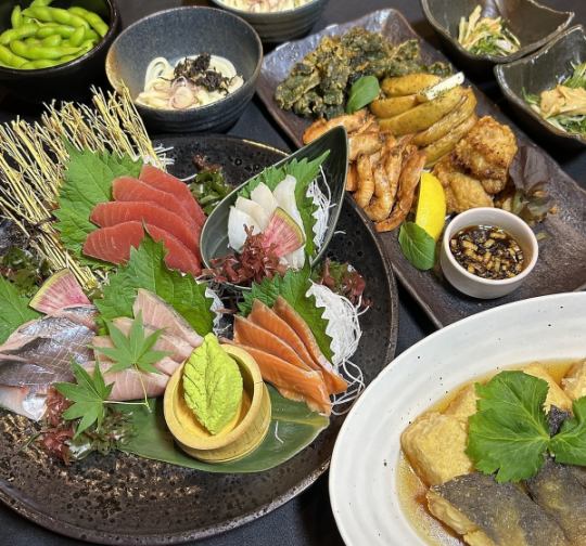 【刺盛コース】刺身五点盛・・おつまみ盛合せなど料理5品＋ビール飲み放題
