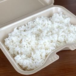 白ごはん