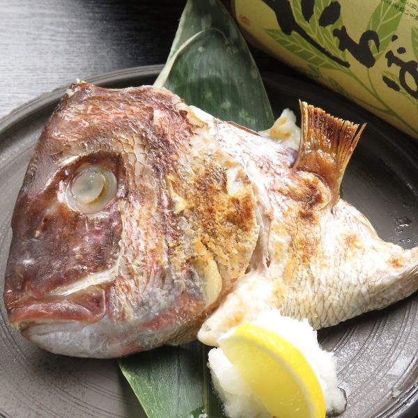 【日替わりメニュー】その日に仕入れたお魚で♪鯛カマ塩焼き　680円～