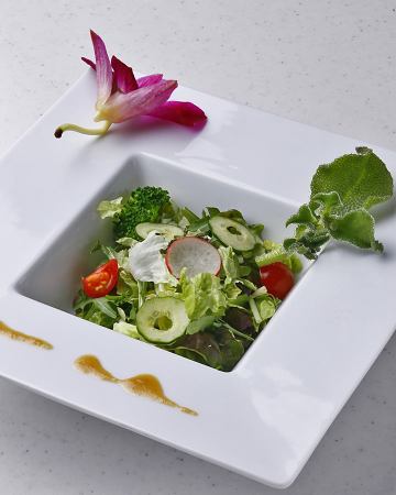 Seasonal vegetable commitment salad ~ With original dressing which boasts ~
