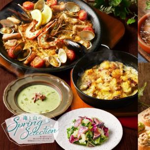 4月・5月限定フェア開催中！