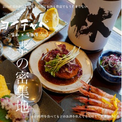 【10월 이후】도야마 삼매 코스♪도야마의 식재료・향토 요리를 만끽! 2h 음료 무제한 ☆6800엔