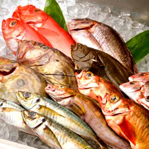 Carefully selected fresh fish and seafood