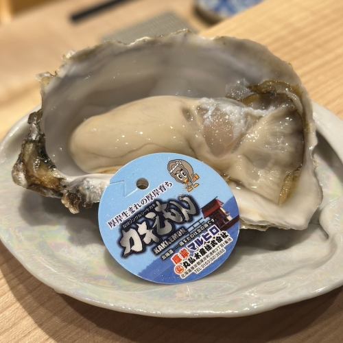 [Creamy taste!] Oysters