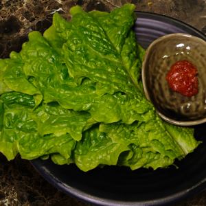 チシャ菜/サラダ菜/サニーレタス/巻き野菜セット 各