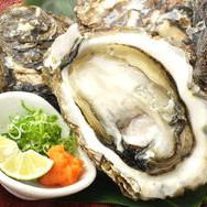 Rock oyster