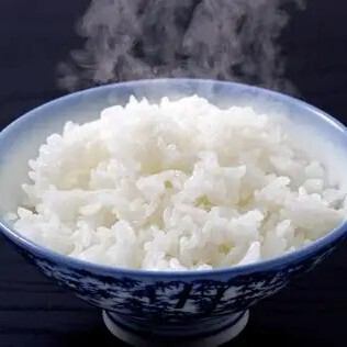 白ご飯