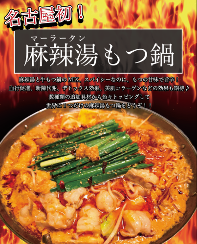 名古屋初！麻辣湯もつ鍋！