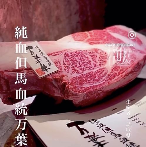 Specially selected Wagyu beef is sourced independently, making it a great value for money