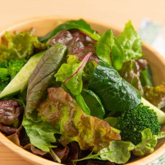 グリーングリーンサラダ