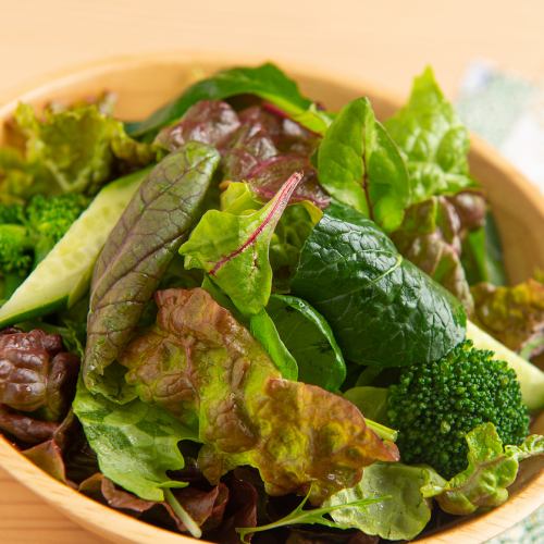 グリーングリーンサラダ