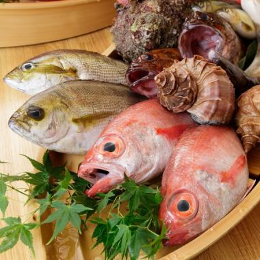 ＜生簀の天然鮮魚＞活けの鮮魚をお造りや天ぷらへ♪