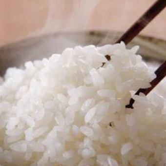 Large serving of rice