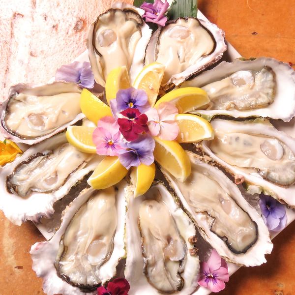 -Totochee's very popular raw oysters-Enjoy the plump oysters! Try fried oysters and ajillo♪