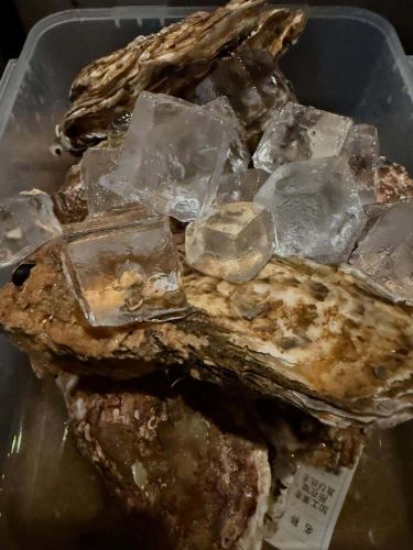 No reservations today, the 4th!
I'll put a lot in♪

recommendation!
40 oysters!
Juicy oysters! Only 350 yen is a bargain!

I prepared shell oyster gratin!
It's piping hot!

The horse meat has arrived!
Fatty tuna, which was out of stock, is now back in stock!
It's a horse!

It's hot, so I recommend the spicy paella!
It goes really well with spicy beer.

Don't you like shabu-shabu when it's hot?
Enjoy shabu-shabu with the delicious suki broth!

There will also be lots of peaches.
Perfect with Earl Grey cream cheese!
Have some wine!

There are fewer reservations this month
Groups also have a chance!
The second floor can be rented out anytime!

Well then
We look forward to your reservation and visit!

#Shinmatsudo #Kashiwa #Matsudo #Nagareyama #Shinmatsudo Gourmet #Shinmatsudo Izakaya #Shinmatsudo All-You-Can-Drink #Shinmatsudo Roast Beef #Shinmatsudo Lunch #Shinmatsudo Dinner #Sashimi #Shinmatsudo Oysters #Birthday #Non-smoking #Smoking on the terrace #Separate smoking areas #Italian #Dogs allowed on the terrace #Date #Stylish Izakaya #Wine Bar #Cheese Fondue #Shinmatsudo Date #Shinmatsudo Lunch #Shinmatsudo Dinner #Matsudo Gourmet #Shinmatsudo Cheese #Matsudo Cheese #Shinmatsudo Private Room