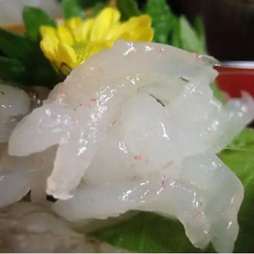 white shrimp sashimi
