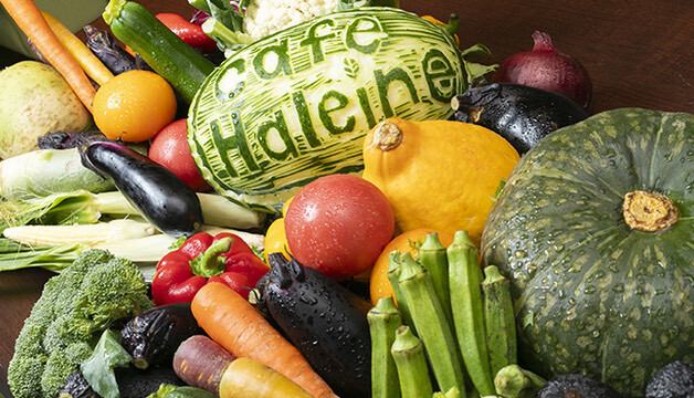 野菜ソムリエの資格を持つ料理長が身体に優しくて美味しい料理の数々を提供