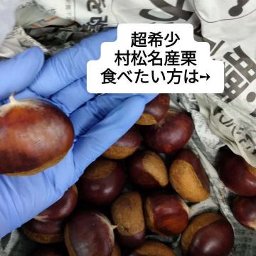 いつも釜めしめだかの